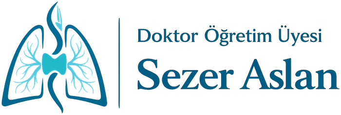Dr. Öğr. Üyesi Sezer Aslan — Göğüs Cerrahisi Uzmanı